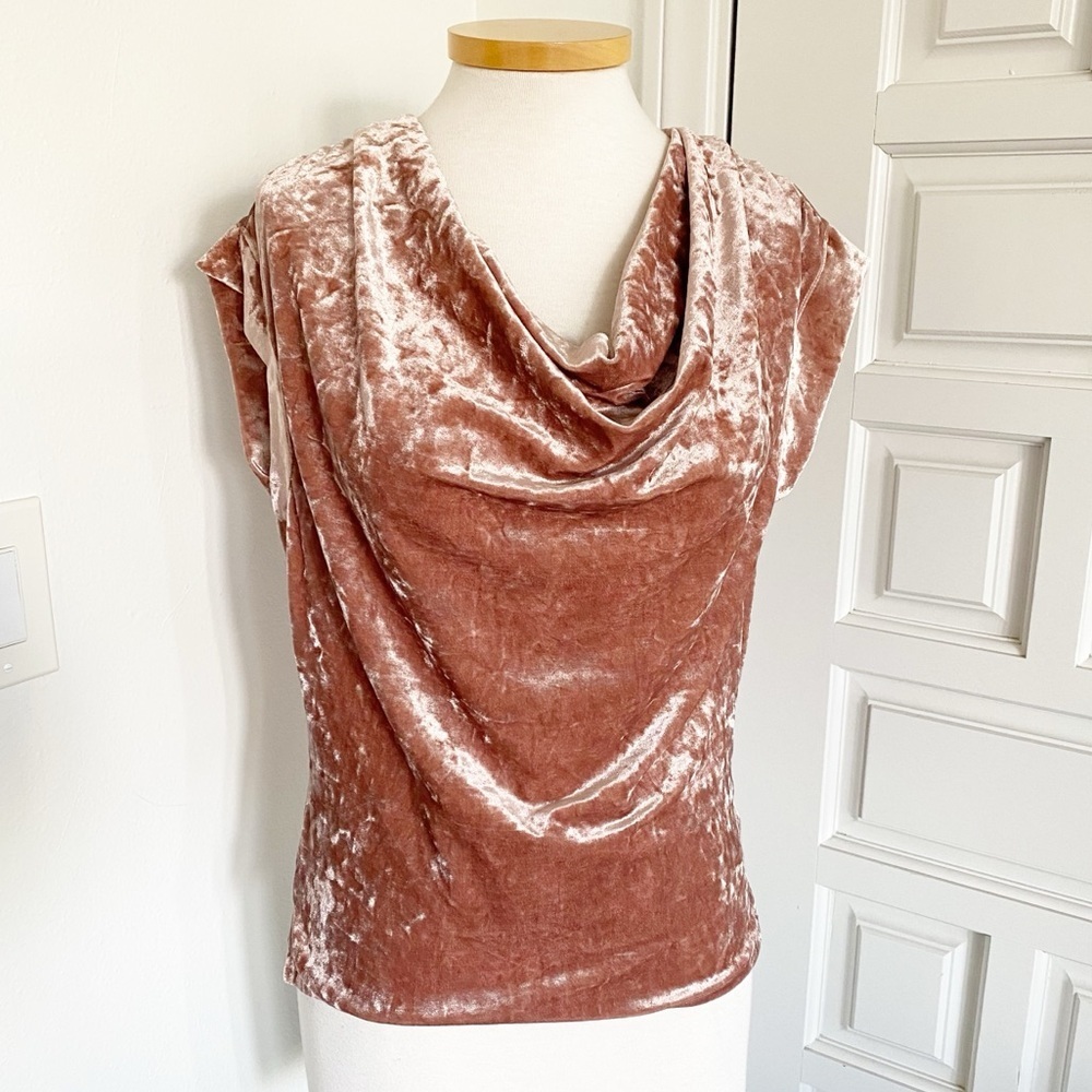 NWT Lush Velvet Top Blush Pink Size Large